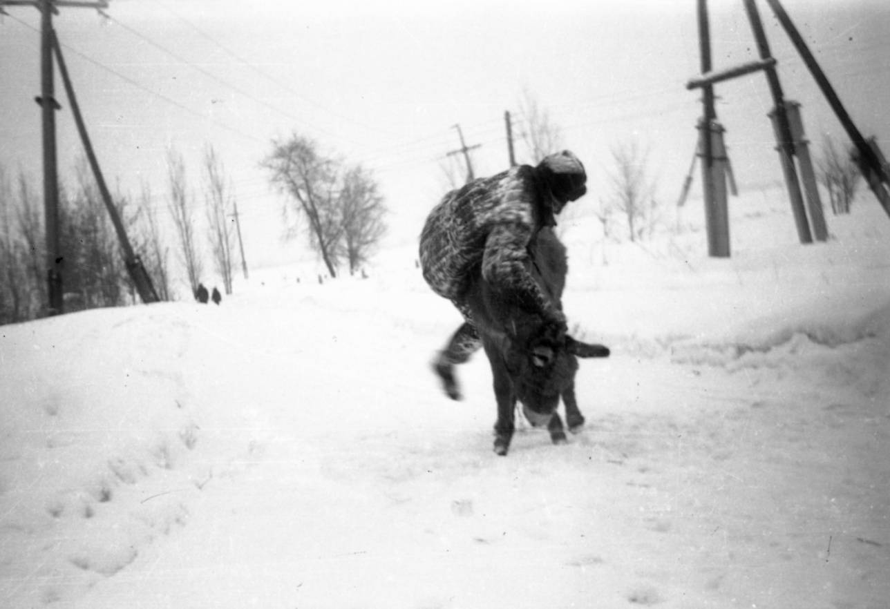 Пьяный на осле