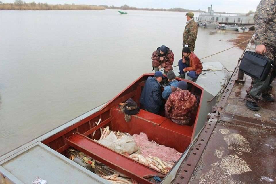 Задержанные браконьеры