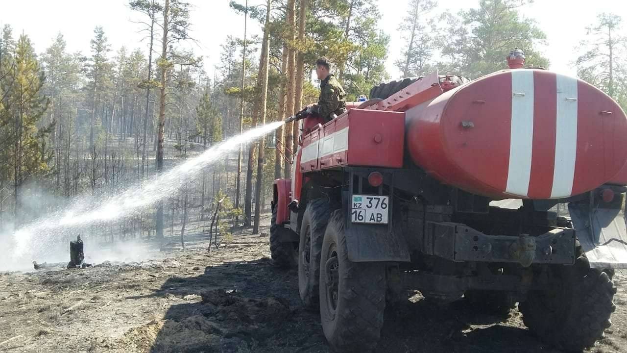 Тушение лесного пожара в Семее