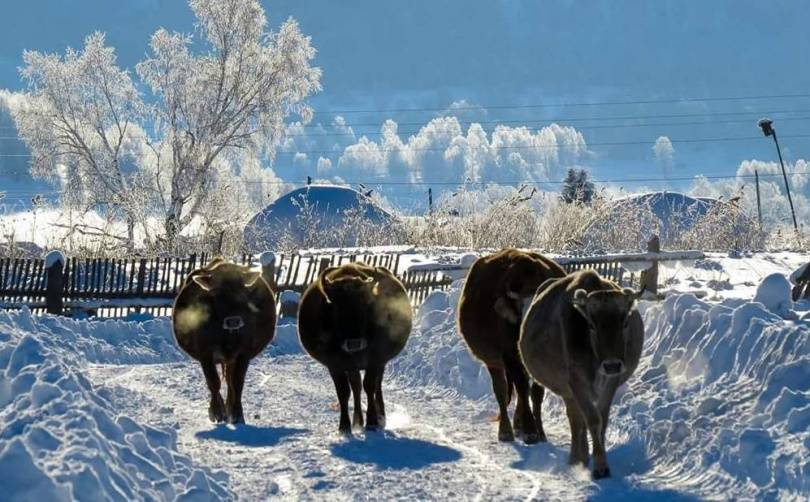 Посёлок Поперечное