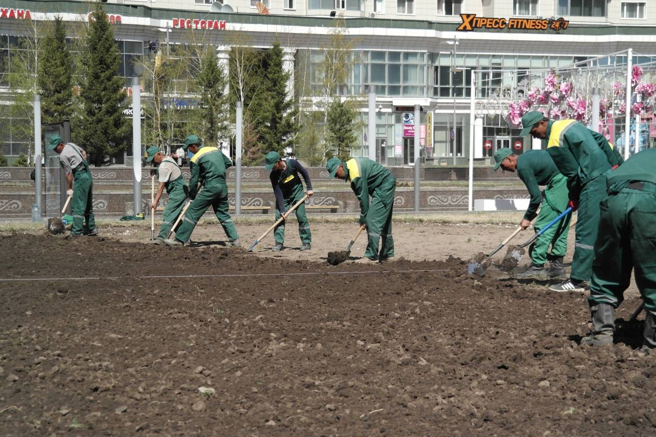 Коммунальные службы активно занимаются озеленением столицы