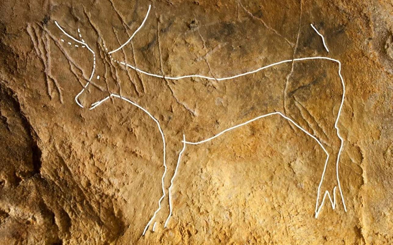 Контур наскального рисунка с изображением доисторического оленя