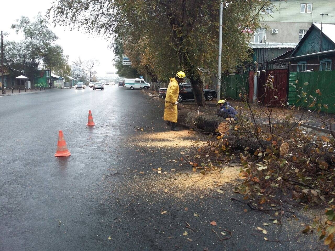 С деревьев ещё не успела опасть вся листва