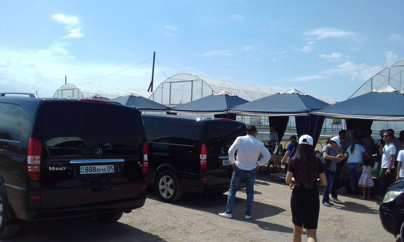 Экспаты выезжают на место событий в двух микроавтобусах бизнес-класса аспидно-чёрного цвета с кондиционерами.