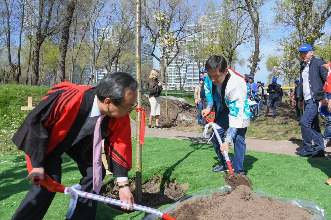 Бауыржан Байбек b Сато Казунори посадили первое дерево