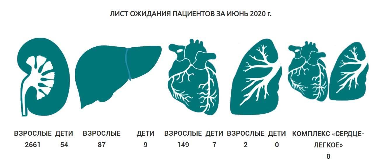 Скриншот с сайта transplant.kz