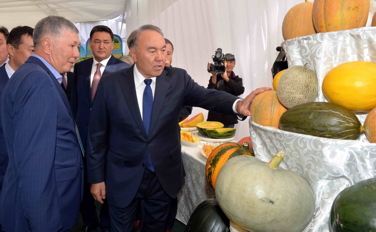 Президенту продемонстрировали достижения с/х отрасли