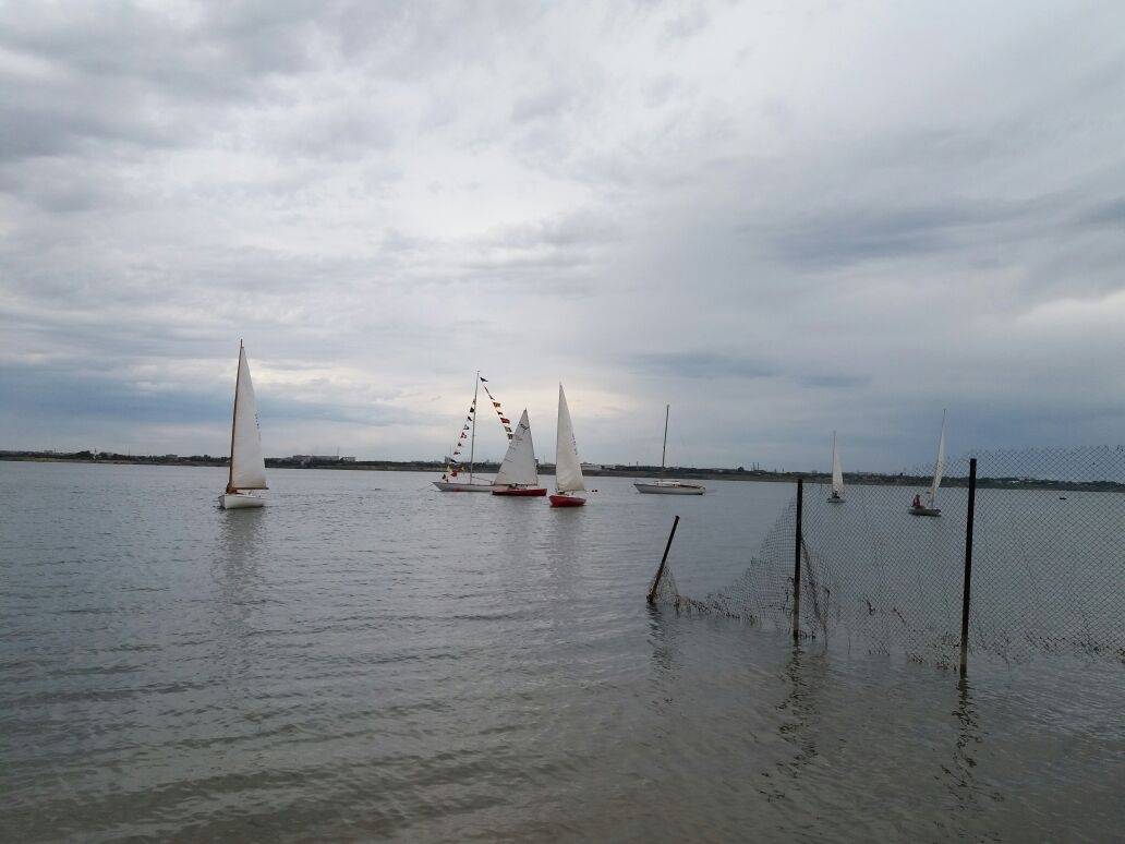 Всего пять парусников приняли участие в регате
