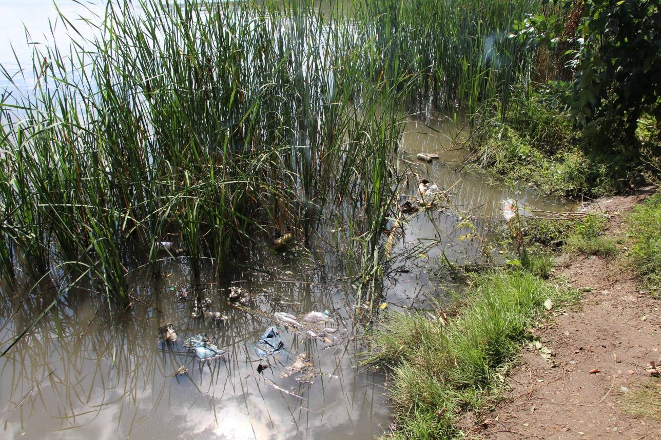 В воде плавает мусор и и присутствует неприятный запах тины и болота