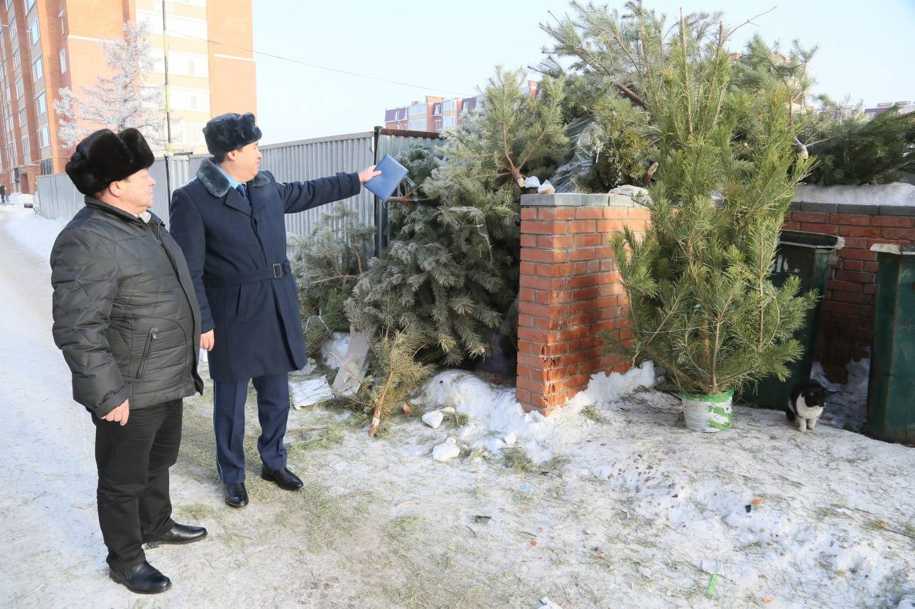 Прокуроры предупредили горожан об ответственности за незаконный выброс деревьев