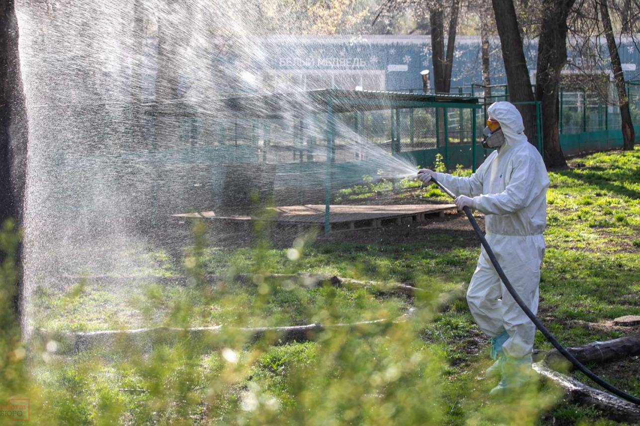 Дезинфекция в вольерах