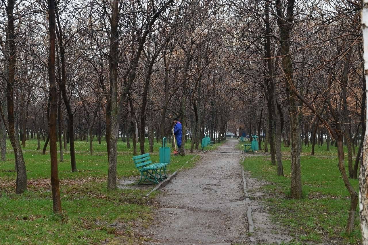 Сохранить зелёные насаждения в парках поручил аким Алматы