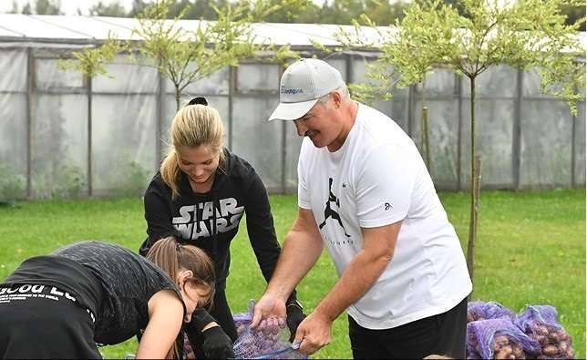 Александр Лукашенко лично собрал картофель на своём приусадебном участке