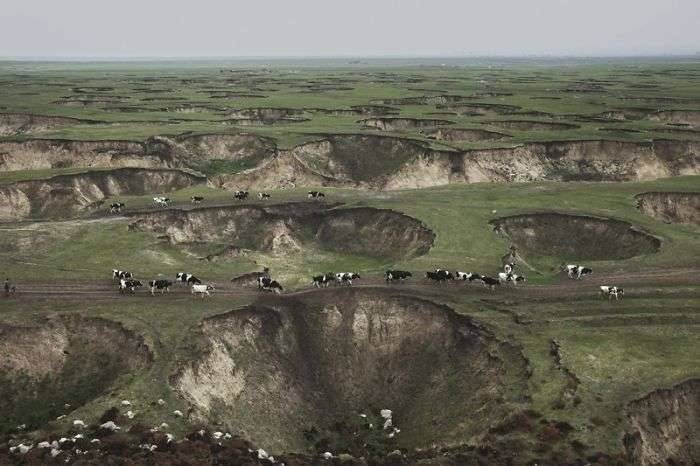 Жер асты суы сорылғанша Қытайдың мына өңірі теп-тегіс жасыл алқап болыпты