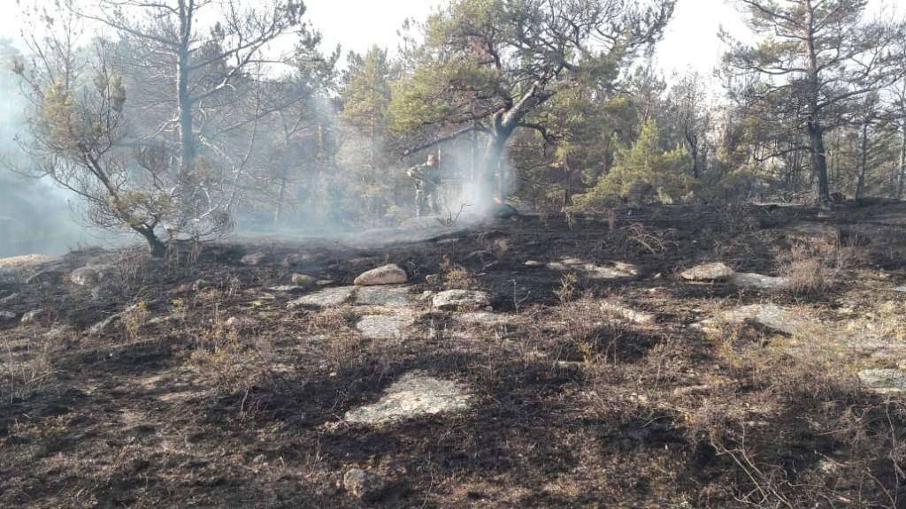 500 человек, в том числе добровольцы, тушили пожар в нацпарке