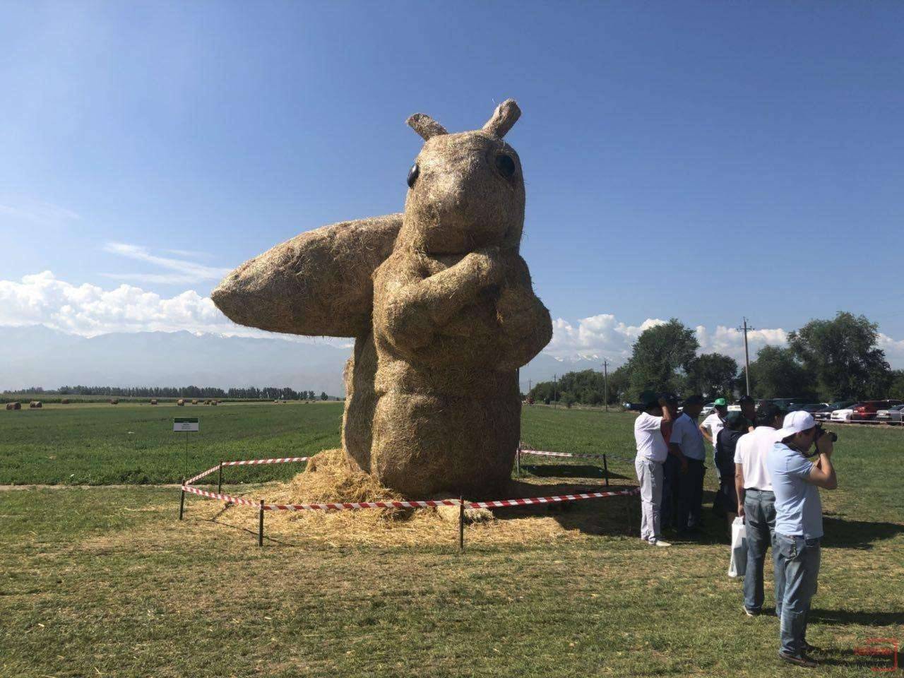 Белка в агропарке "Каскелен"