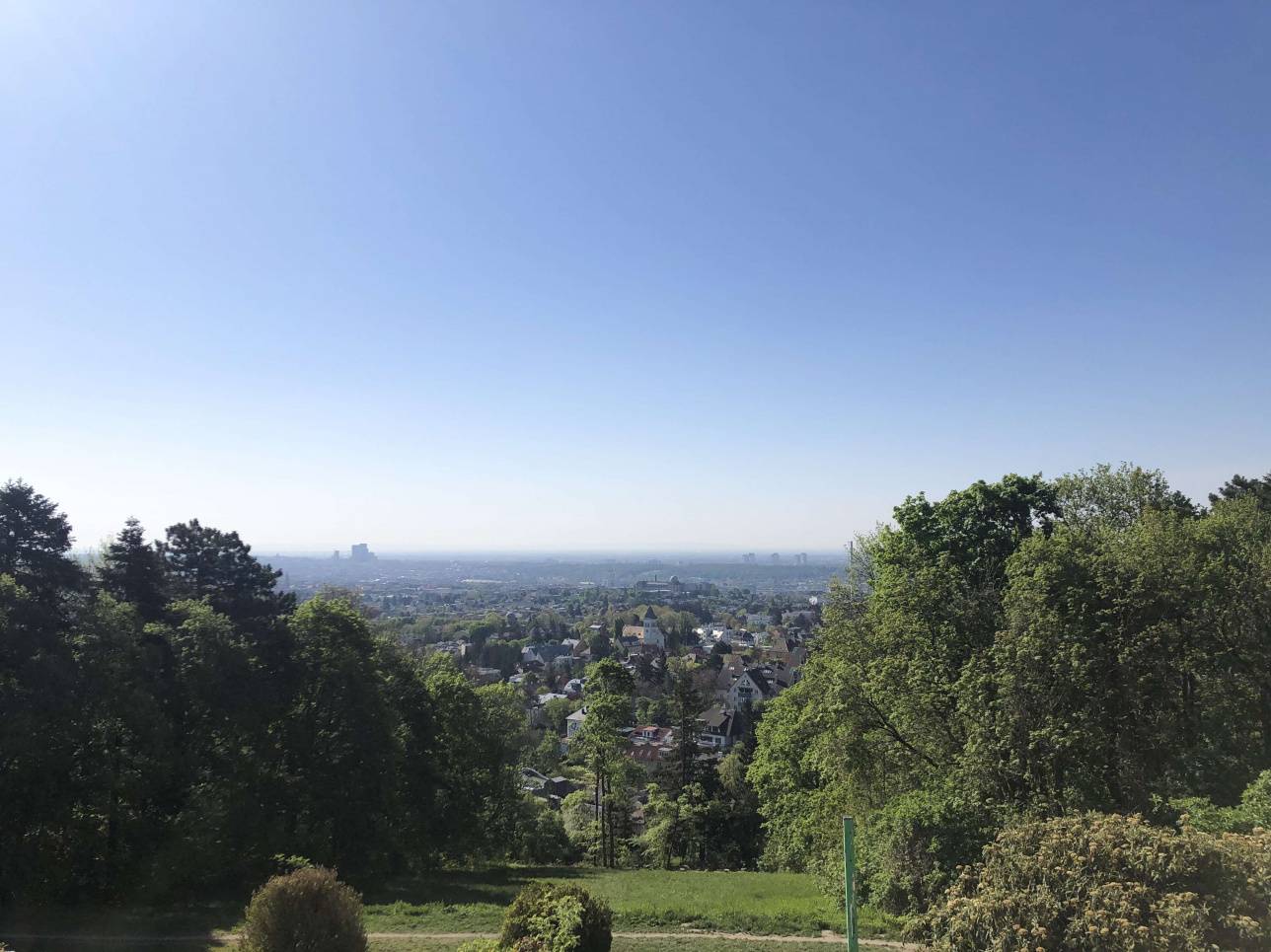 Вид на Вену с холма