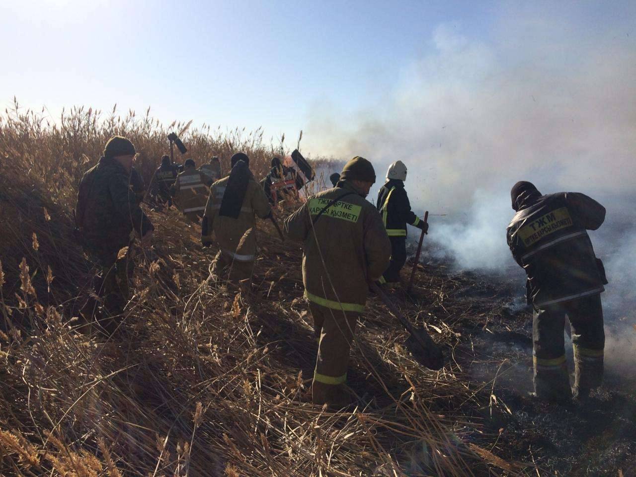 Пожар тушили в болотистой местности