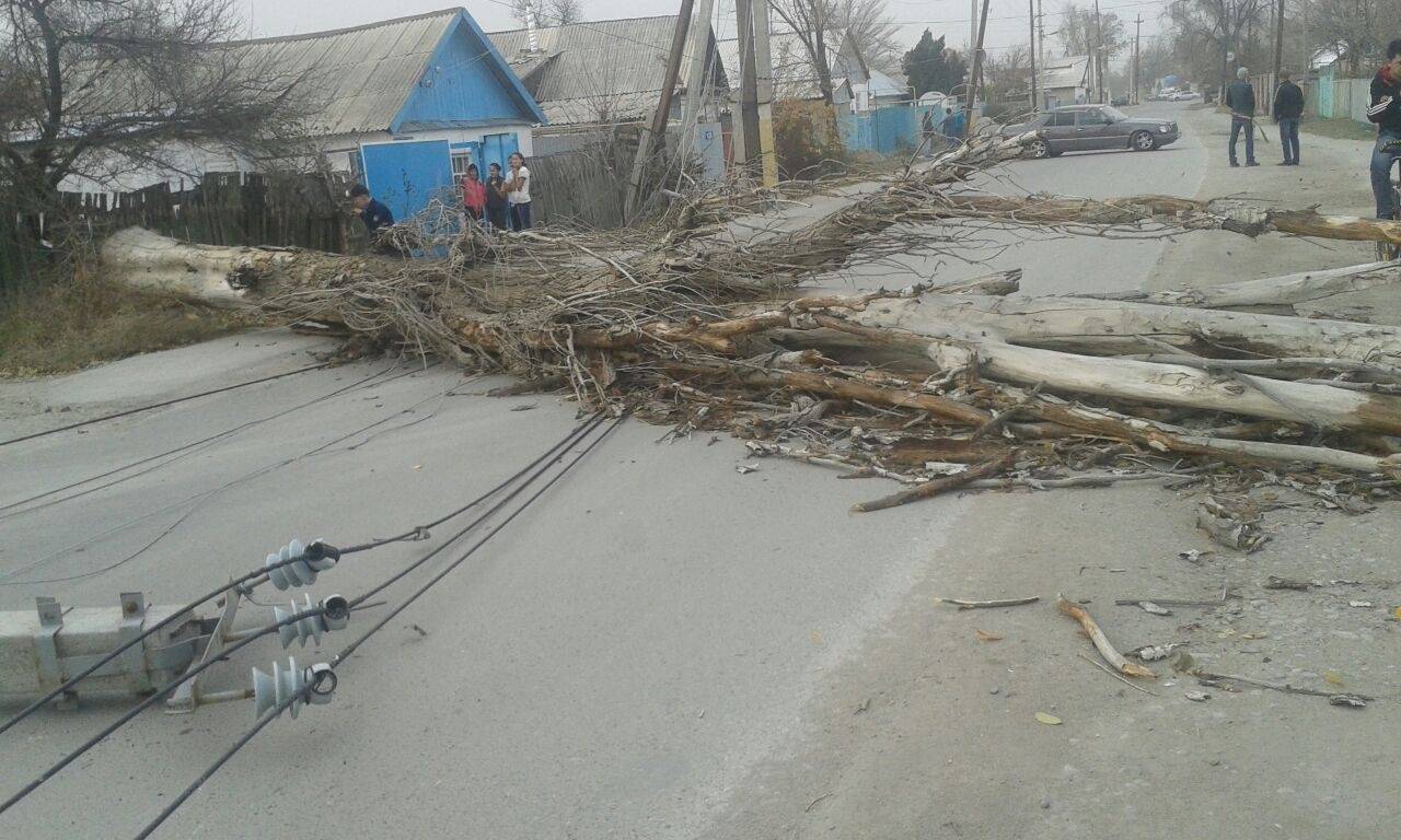 Последствия урагана можно было наблюдать в любом регионе области