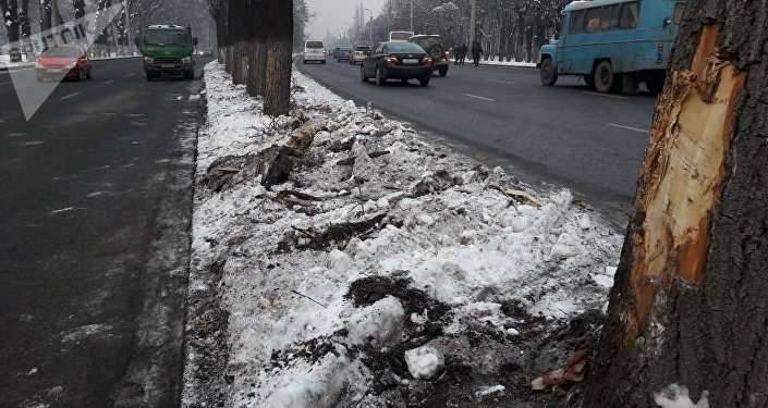 Один из пассажиров вылетел в окно, его придавило сбитым деревом