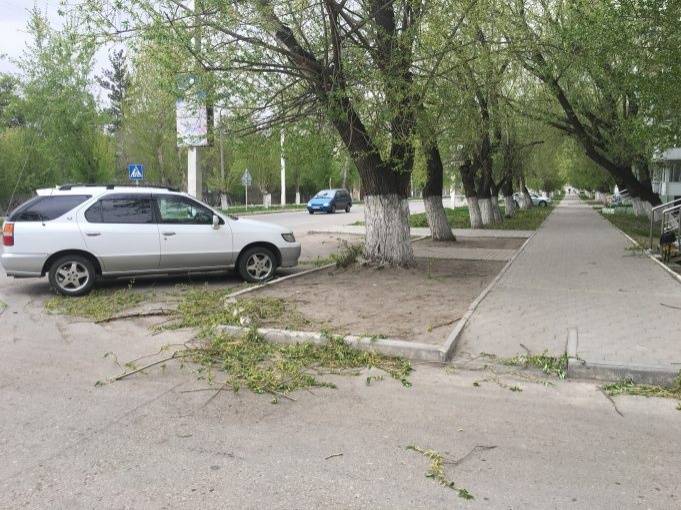 Ветер ломал ветки деревьев