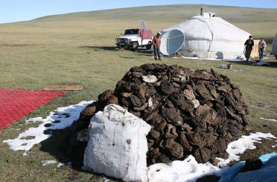 Малшы үйінің отыны сиыр тезегі немесе қыстаудан әкелген қи