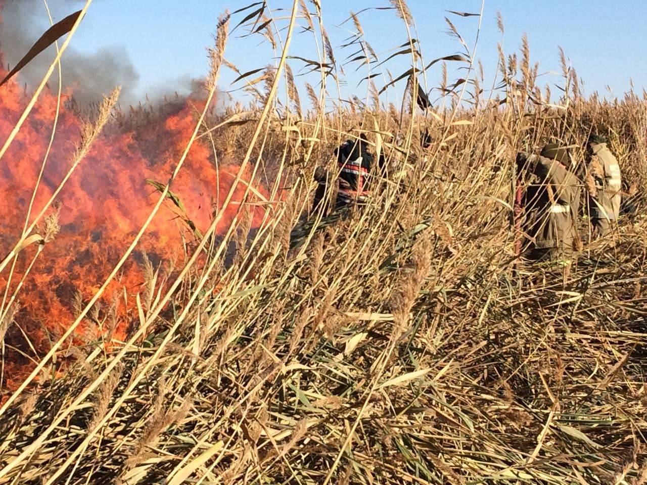 Пять дней тушили пожар на побережье Каспия