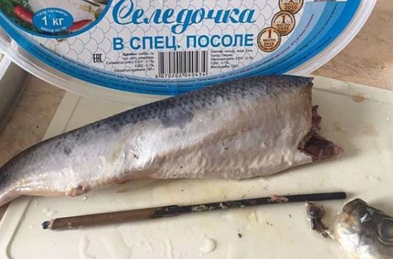 Металлический стержень проходил через всю рыбу