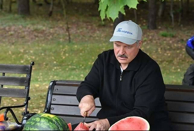 Уродились на участке президента Беларуси и бахчевые