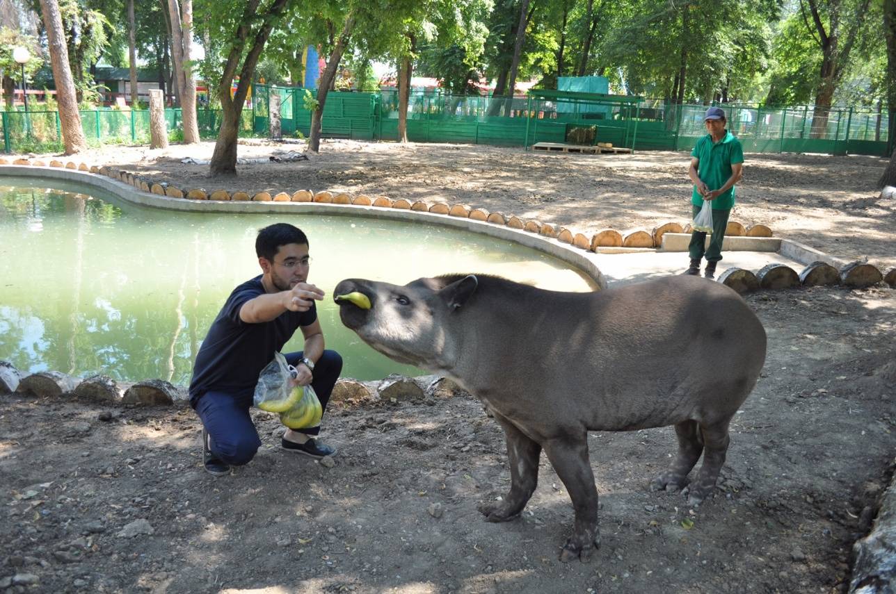Теперь Мартин ждёт свою невесту