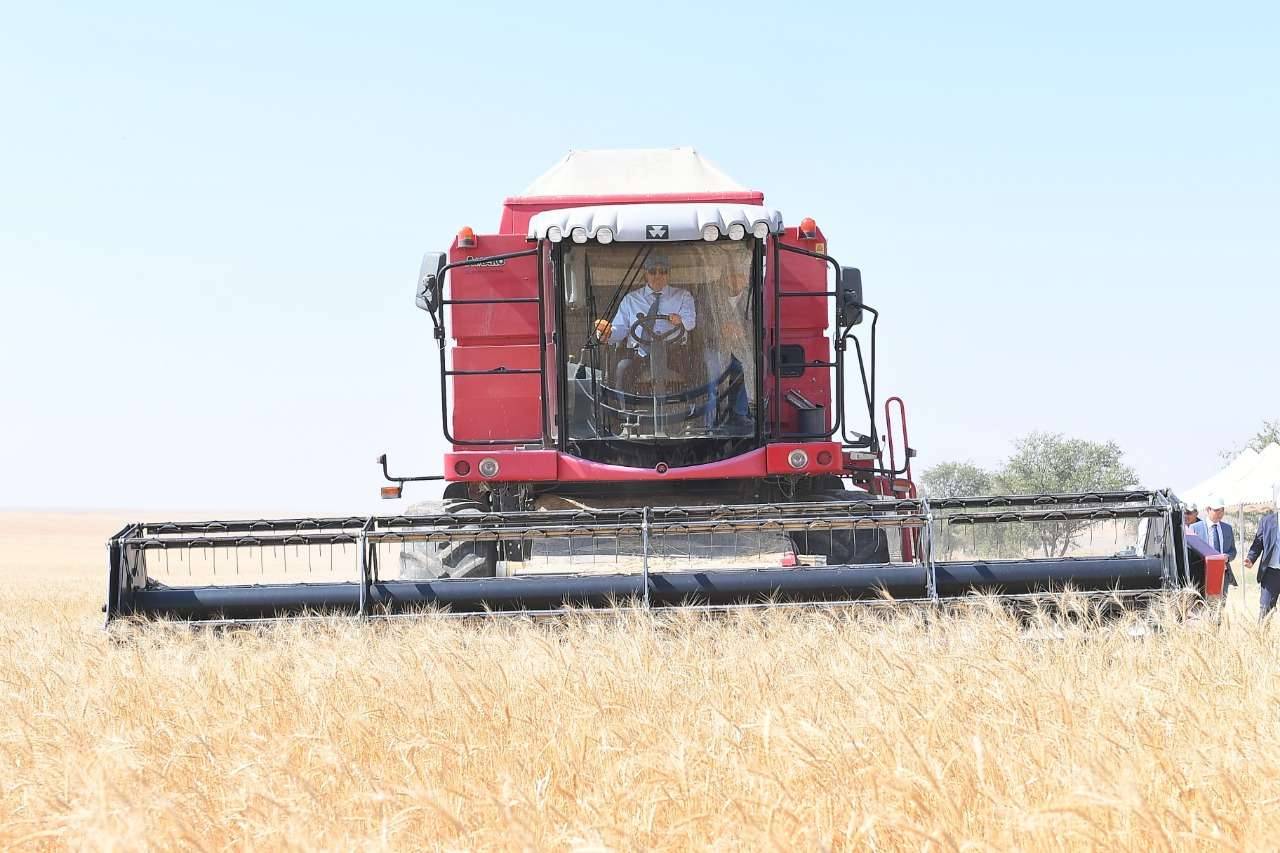 Умирзак Шукеев за рулём комбайна