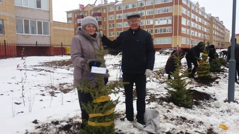 Медработники начали сажать сосны и ели в новом парке здоровья