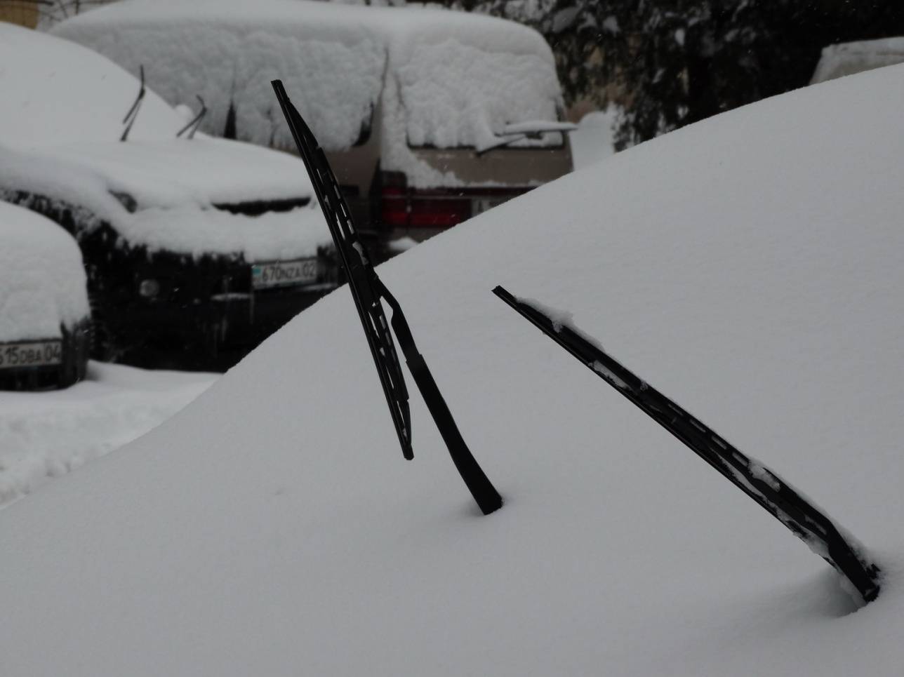 Автомобили оказались под снегом