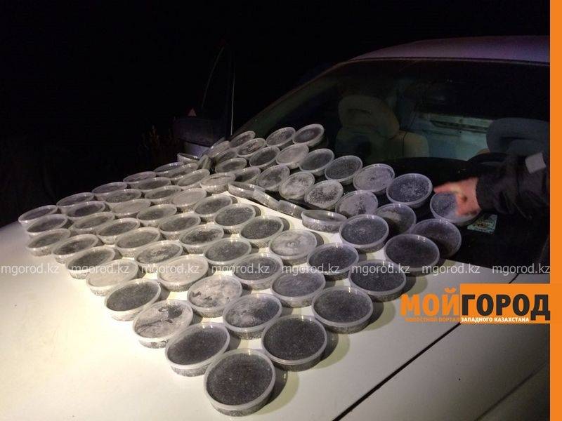 90 пластиковых контейнеров спрятали в тайник