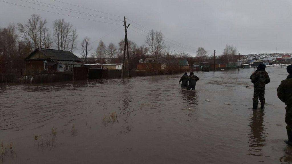 В ближайшие сутки в области ожидается дождь