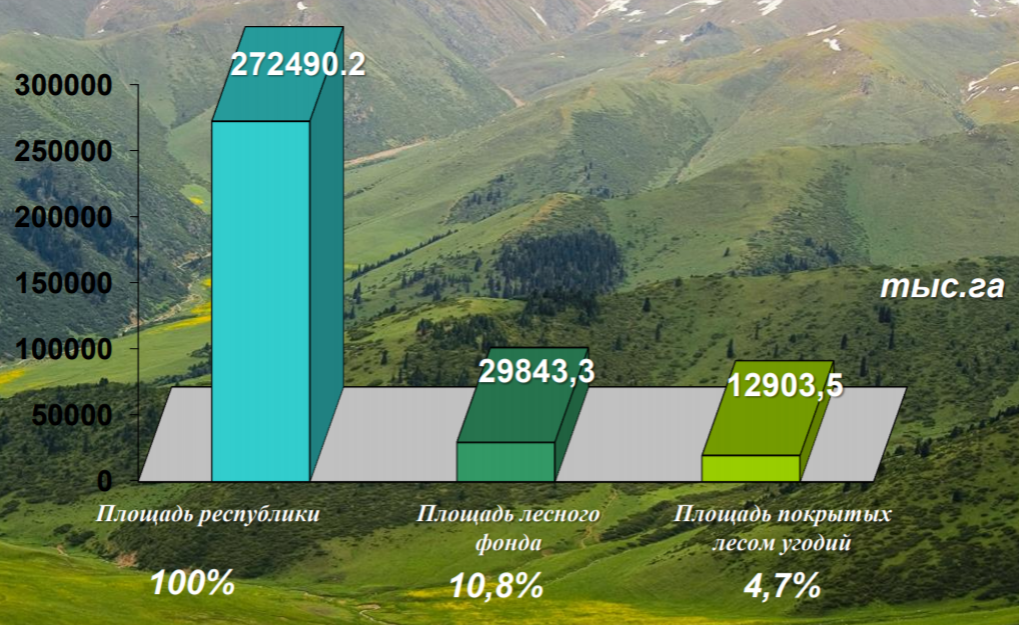 Лесной фонд РК за 2018 год