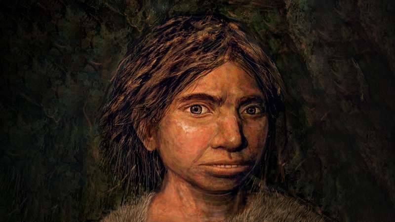 Реконструкция облика денисовца / MAAYAN HAREL, vis.sciencemag.org