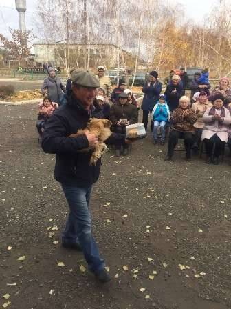 Житель села получил в подарок петуха.