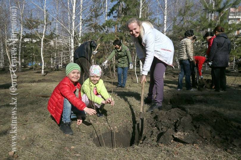 В Костанае прошла массовая посадка деревьев