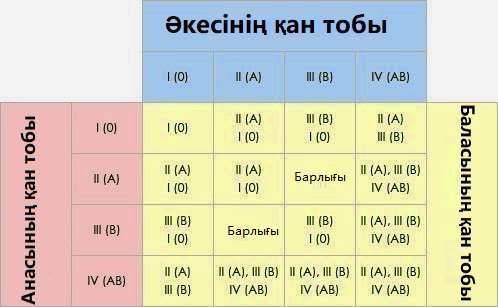 Ерлі-зайыптылардан туылатын баланың қан тобын анықтауға қажет кесте 