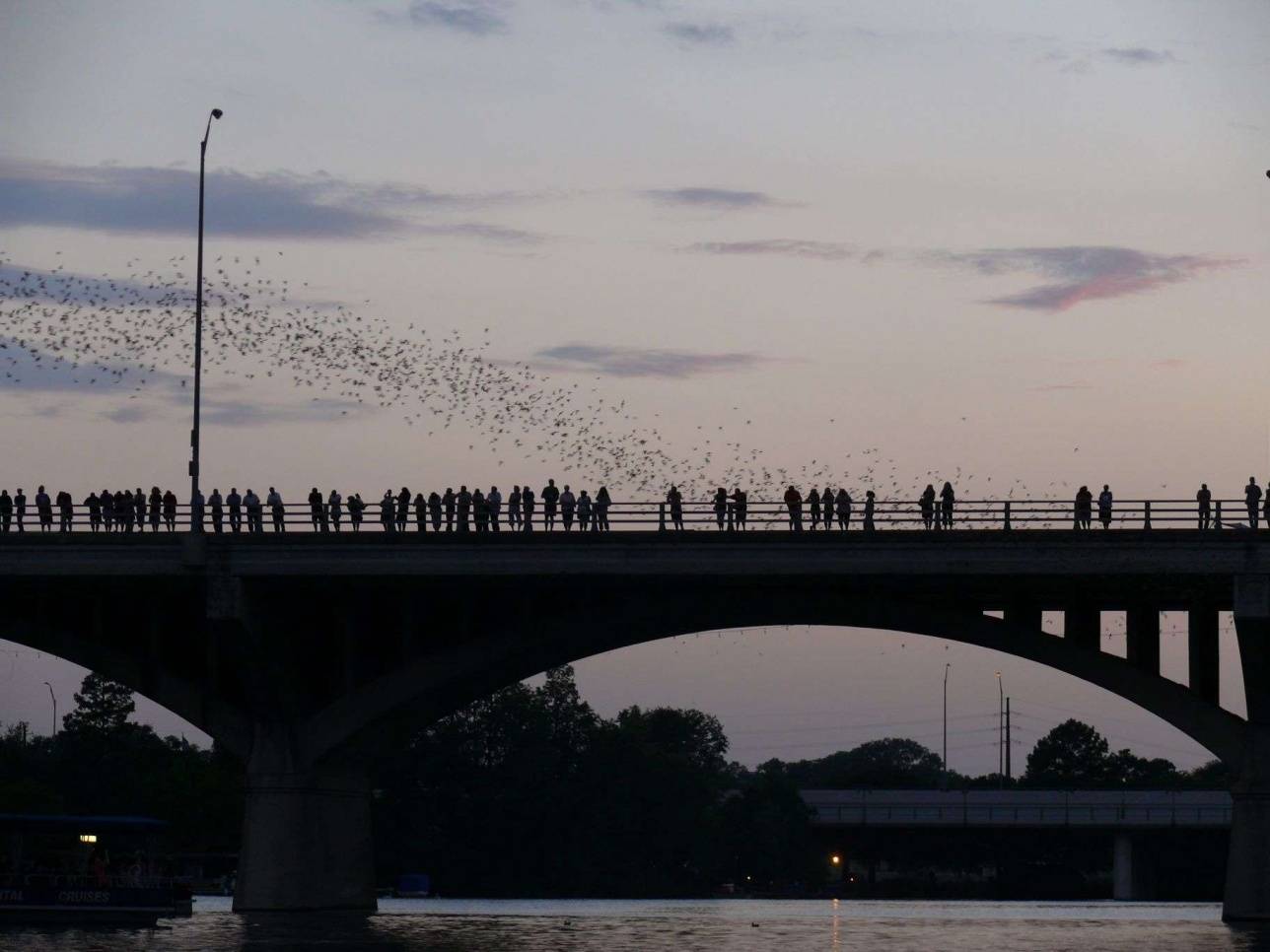 Congress Avenue Bridge