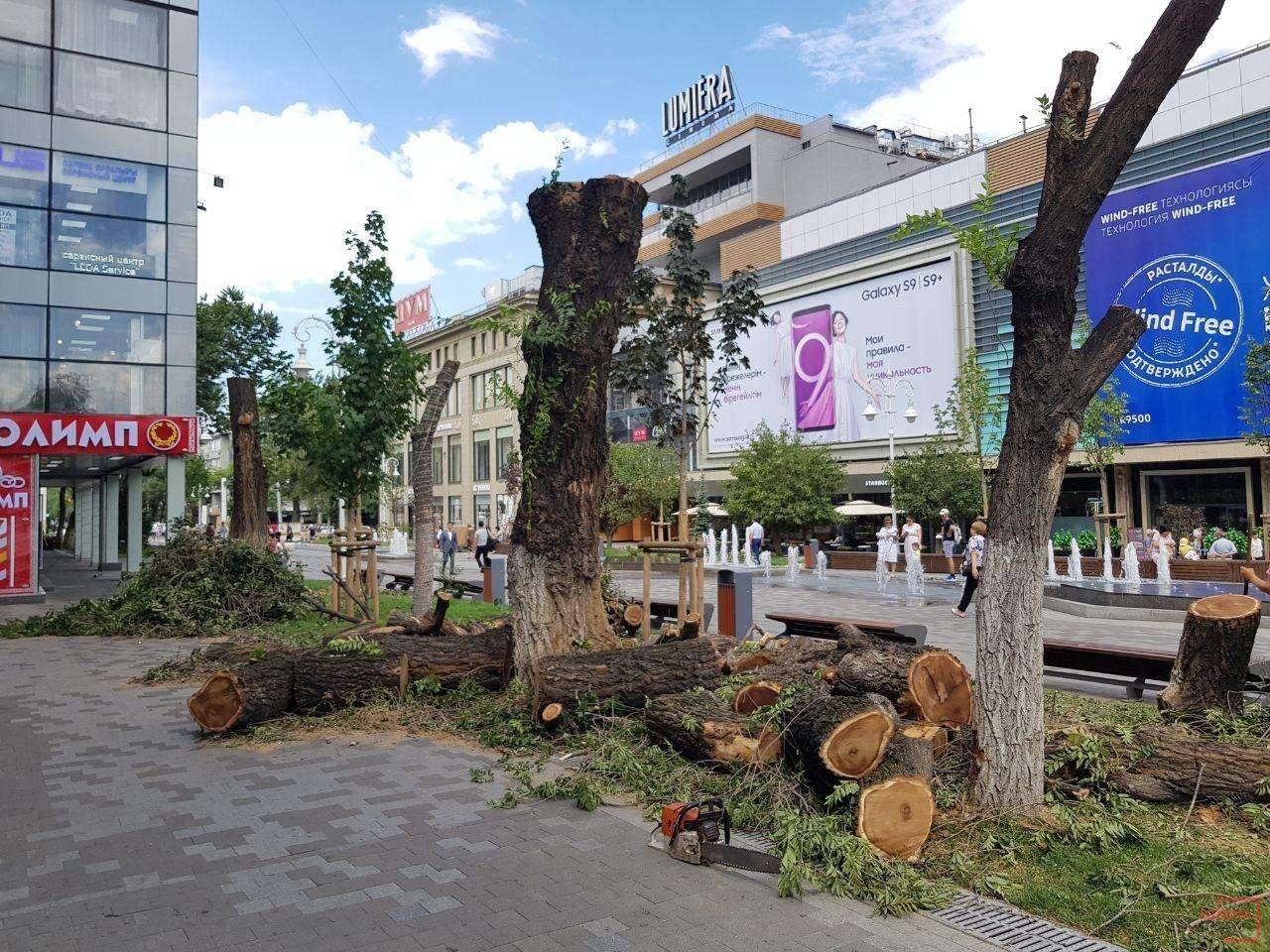 На Арбате срубили деревья