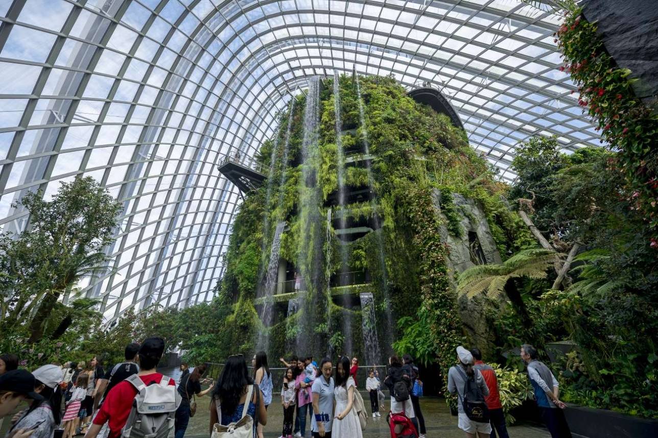 Каждый вечер на Gardens by the Bay проводится светомузыкальное шоу