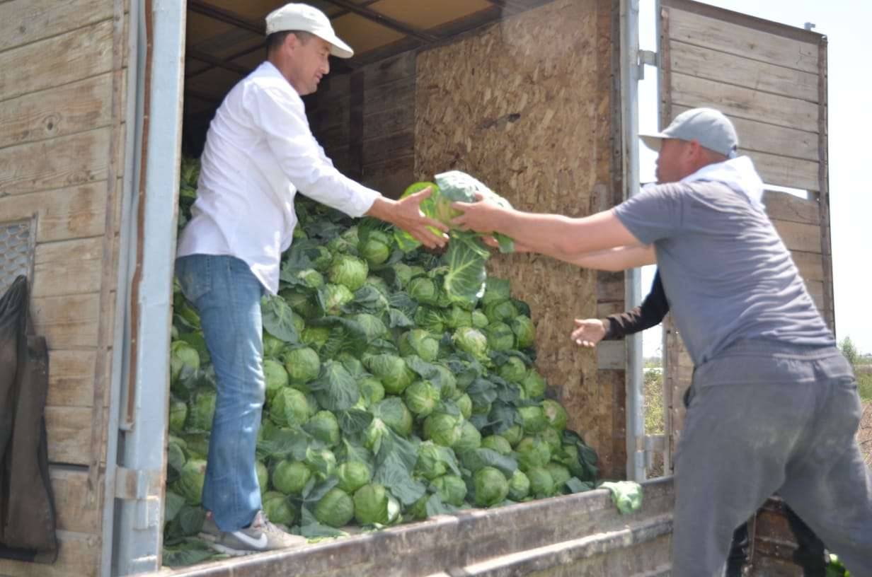 Қырыққабатты еліміздің өзге облыстарына жөнелту жұмыстары