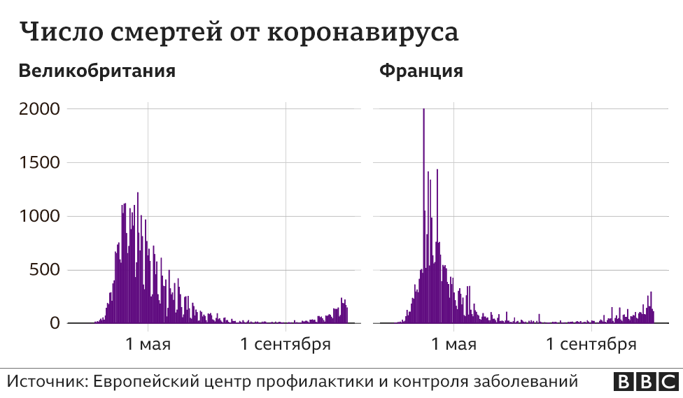 Статистика Covid-19 в Британии и Франции: госпитализации, новые диагностированные случаи коронавируса, жертвы