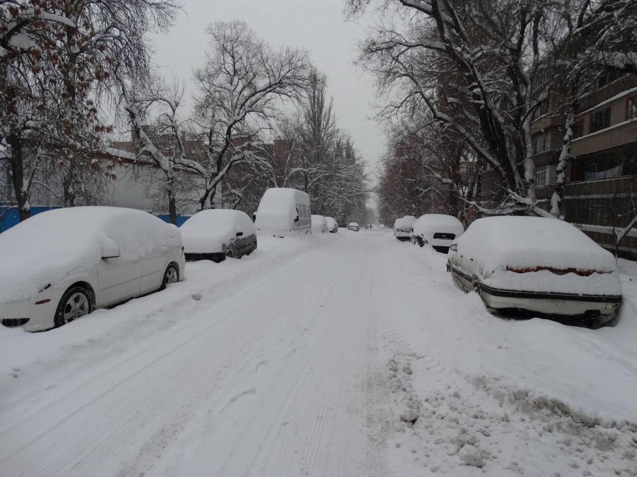 Автовладельцам придётся потрудиться, чтобы найти свои машины