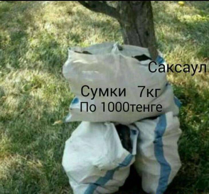 Объявление о продаже саксаула