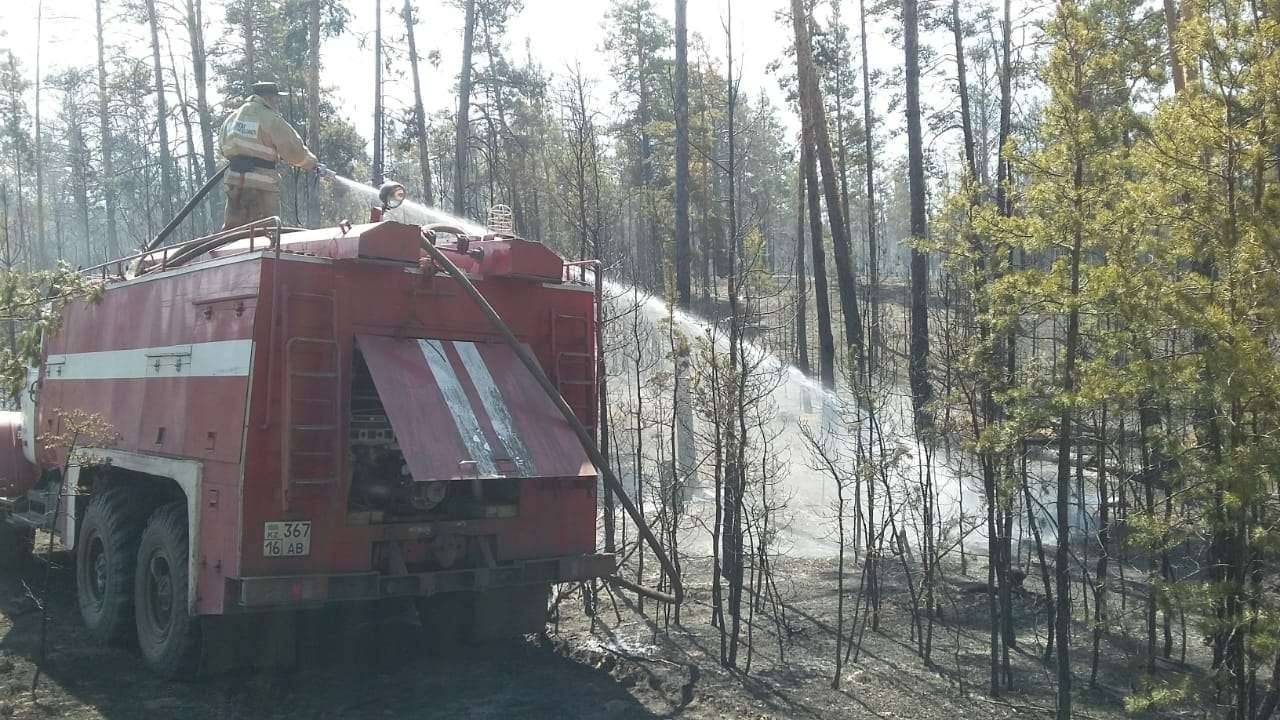 Открытого огня в лесу уже нет, но остались тлеющие участки