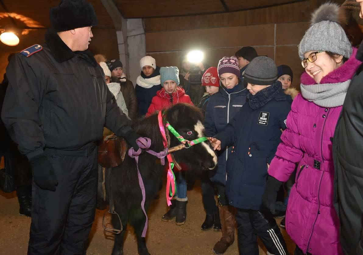 Дети просили у акима пони для занятий иппотерапией