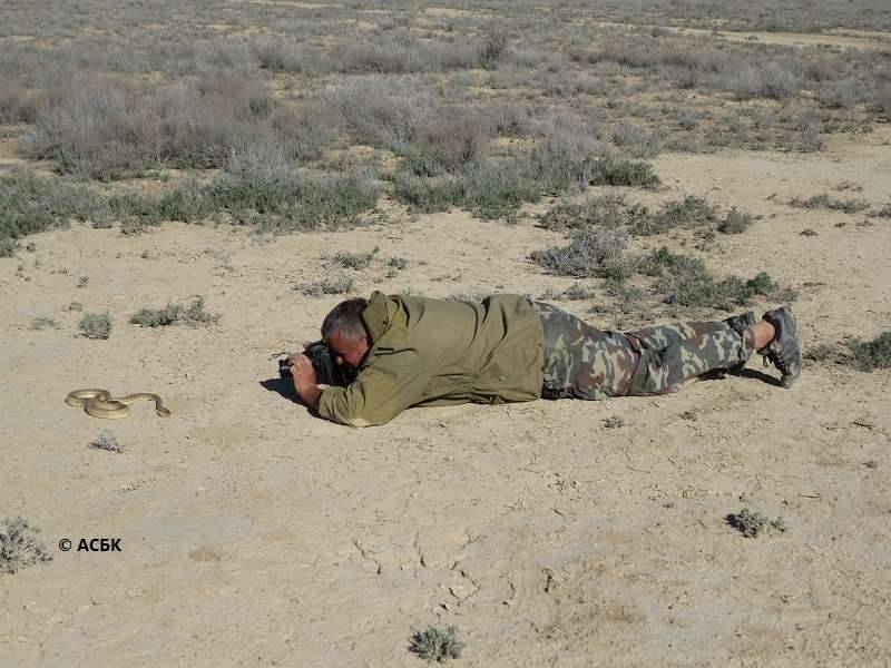 Исследователи в пустыне Устюрт 